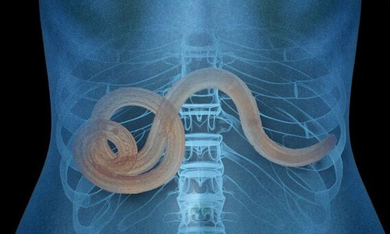 parazīts cilvēka organismā